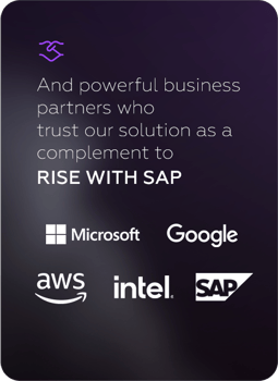 And powerful business partners who trust our solution as a complement to RISE WITH SAP - Microsoft, Google, AWS, Intel and SAP