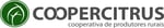 LOGO_COOPERCITRUS_HORIZONTAL-scaled